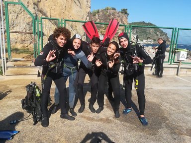 Viajar cuidando animales marinos como voluntaria 10 €