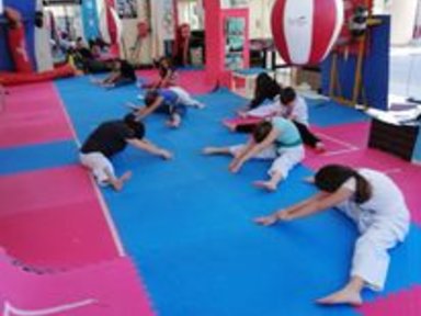 Taekwondo in the Ancient City that organiza the first Ancient Olympic Games. 10 €