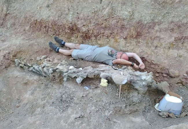 Descubre cómo vivieron los dinosaurios y realiza actividades de montaña 10 €