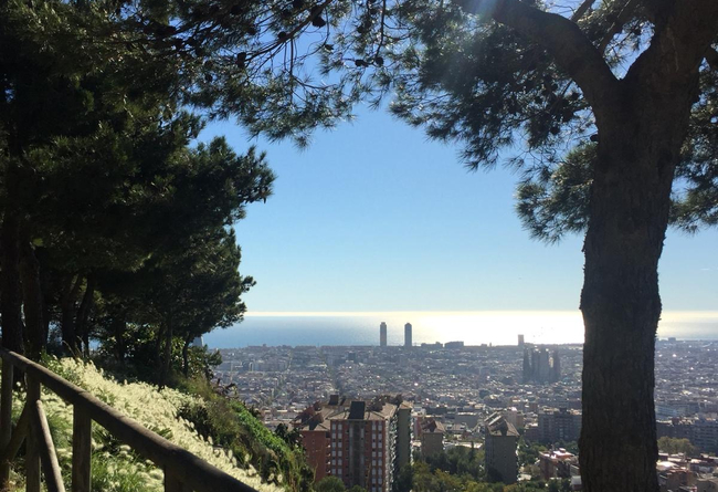 Cultural exchange in Barcelona 10 €