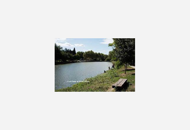 INTERCAMBIO PARA JOVEN DEPORTISTA DE 18 AÑOS 10 €