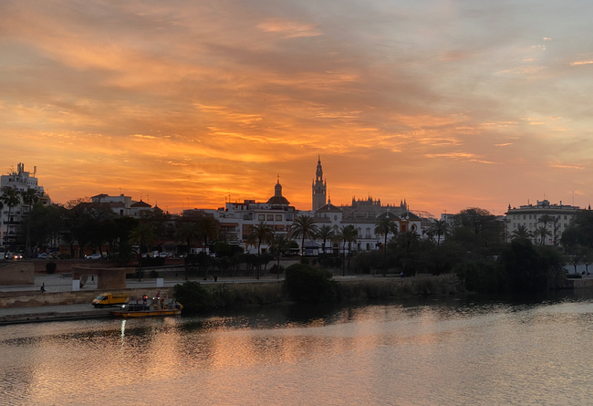 Linguistic and cultural exchange with students aged 15 to 17 in Seville, Spain 10 €