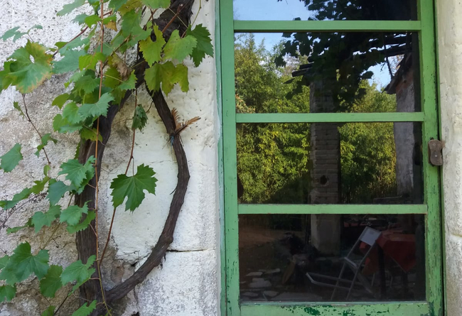 Knowledge exchange on self-sufficiency through plants and canning 10 €