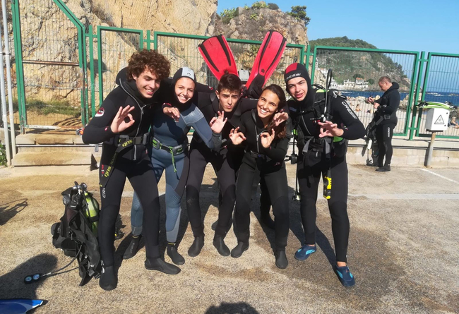 Viajar cuidando animales marinos como voluntaria 10 €