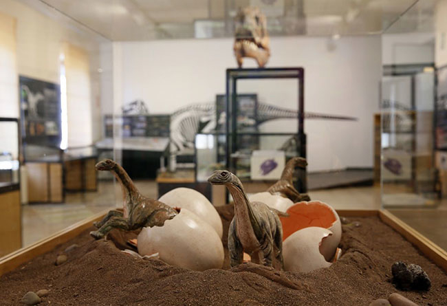 Descubre cómo vivieron los dinosaurios y realiza actividades de montaña 10 €