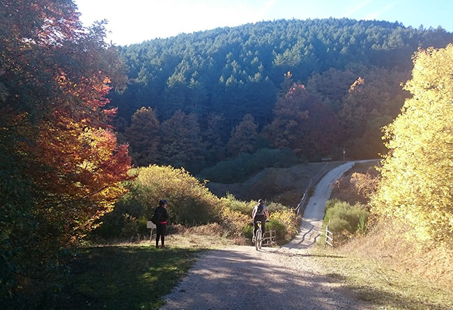Descubre cómo vivieron los dinosaurios y realiza actividades de montaña 10 €