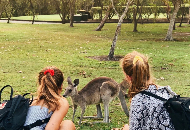Gap year en Australia 10 €
