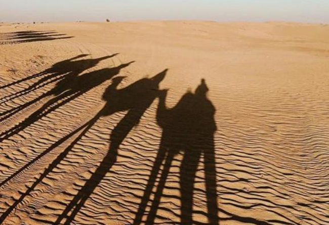 Dubai Experience in Family 10 €