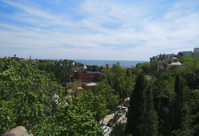 I am looking for an exchange to explore new places 10 €