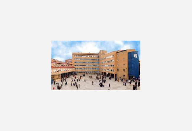 Intercambio colegio Madrid 10 €