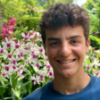 ALESSIO C.
